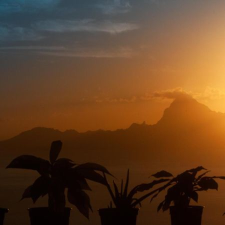 Vue Sur Moorea Daire Punaauia  Dış mekan fotoğraf
