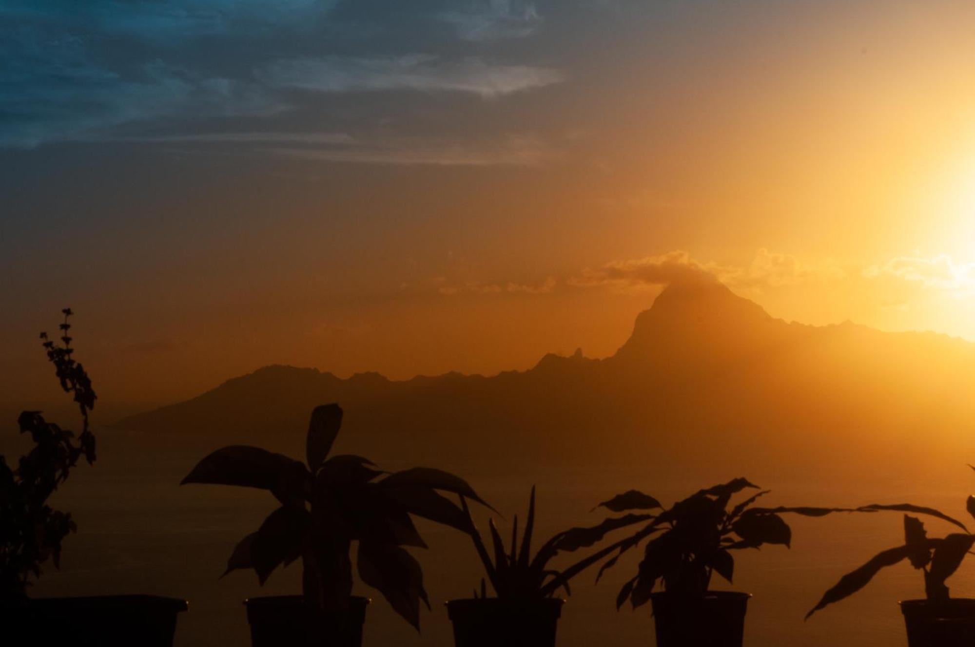 Vue Sur Moorea Daire Punaauia  Dış mekan fotoğraf