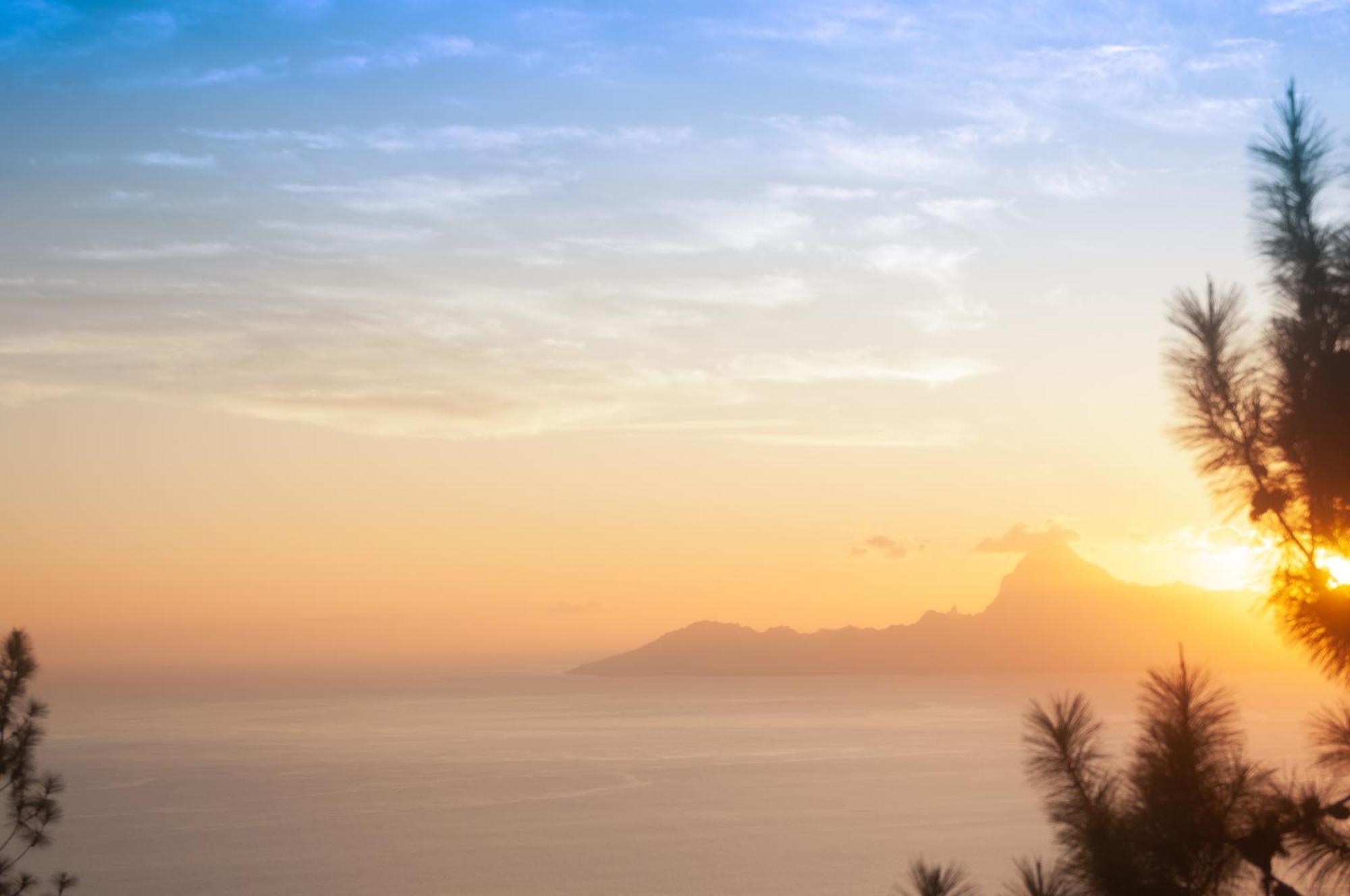 Vue Sur Moorea Daire Punaauia  Dış mekan fotoğraf